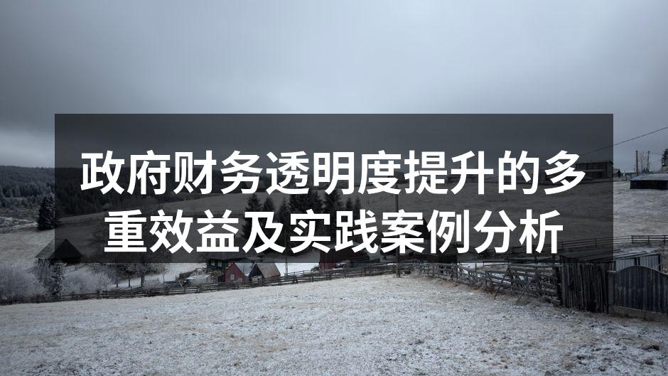 政府财务透明度提升的多重效益及实践案例分