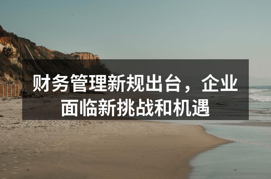 财务管理新规出台，企业面临新挑战和机遇