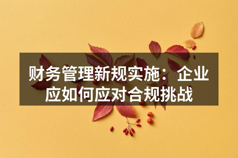 财务管理新规实施：企业应如何应对合规挑战